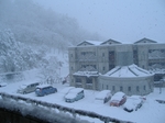 snow_07.jpg